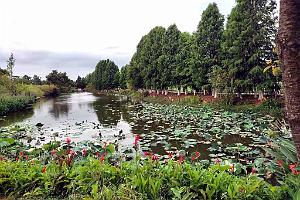 KUNMING - Parc Daguan - 51